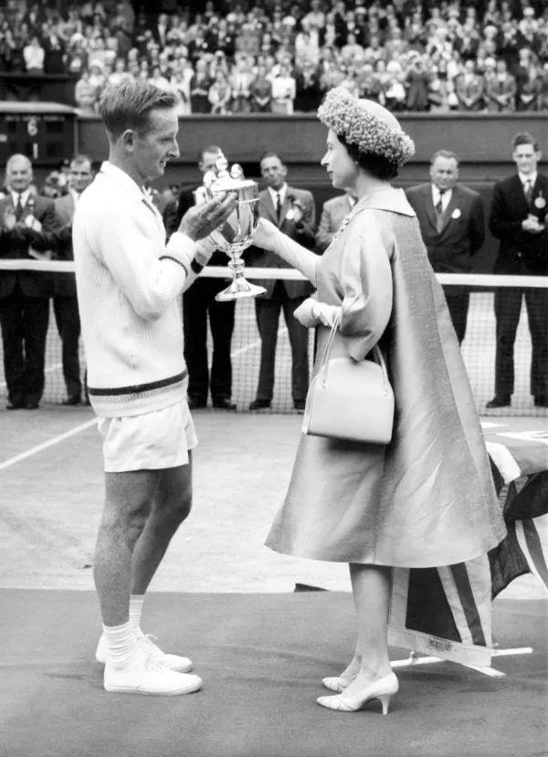 可能会成为 可能会成为